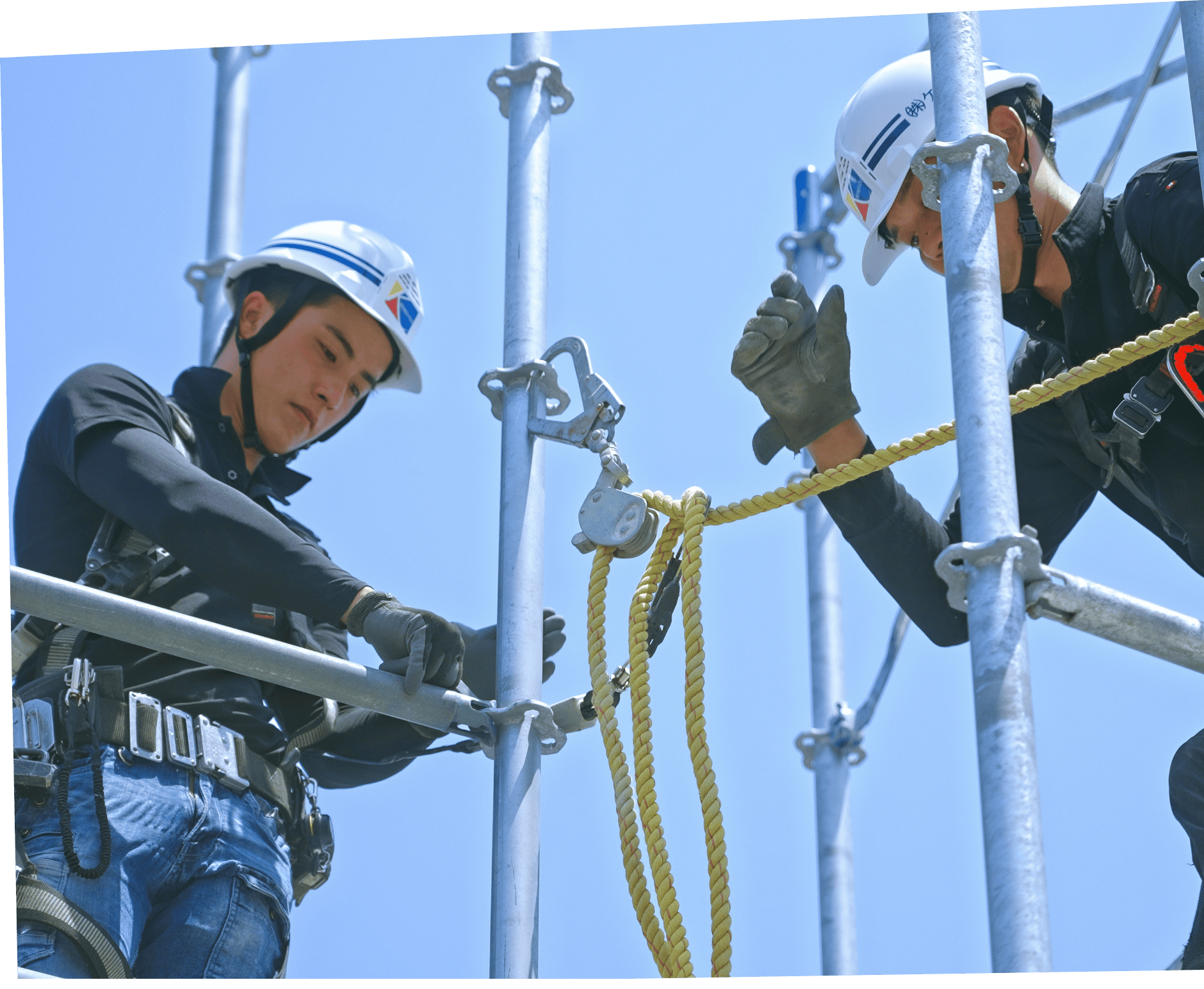 先輩職人のフォローアップと独自の研修制度で着実に成長できる